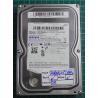 USED, Hard Disk, SAMSUNG, HD252HJ, P/N: 487731GS510371, Desktop, SATA, 250GB