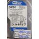 Complete Disk, PCB: 2060-701590-000 Rev A, WD5000AAJS, WD Caviar, WD5000AAJS-00A8B2, 500GB, 3.5", SATA