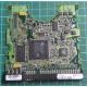 CHIP: 040106000, MAXTOR, 4D040H2, P/N: 244183-002, 40GB, 3.5", IDE