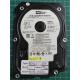 PCB: 2060-701335-005 Rev A, WD800JD, WD Caviar, WD800JD-22LSA0, 80GB, 3.5", SATA