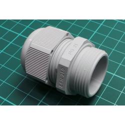 Cable gland, PG21, IP68, polyamide 6, light grey, HELUTOP® HT