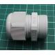 Cable gland, PG21, IP68, polyamide 6, light grey, HELUTOP® HT