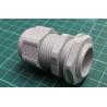 Cable gland, with long thread, M25, 1.5, IP68, polyamide