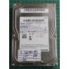 USED, Hard Disk, SAMSUNG, HD103UJ, P/N: 487311CS222616, Desktop, SATA, 1TB