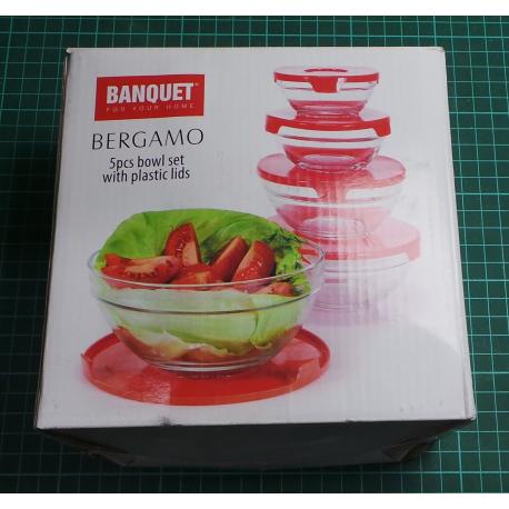 5pcs bowl set with plastic lids