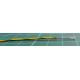 BS 4808 Part 2 Class 2, DEF 61-12 Part 6 Type 2, 1000V RMS, 2439841, PP000093, Green/Yellow, Wire101