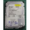 USED, Hard Disk, WD800, WD Caviar, WD800BB-00DKA0, Desktop, IDE, 80GB