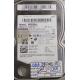 Complete Disk, PCB: BF4100302A 00, HD502HJ, SAMSUNG, P/N: 62523-C72A-A1NMG, 500GB, 3.5", SATA