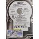 Complete Disk, PCB: 2060-701335-005 Rev A, WD800JD, WD Caviar, WD800JD-22MSA1, 80GB, 3.5", SATA