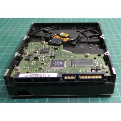 Complete Disk, PCB: BF41-00283A 01, HD322HJ, P/N: 618931HS714794, SAMSUNG, 320GB, 3.5", SATA