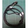 Lenovo, Cable Lock for Laptops, With 2 Keys
