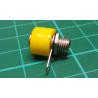 Banana Socket, Yellow