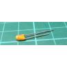 100N / 35V RM2,5mm, AVX tantalum capacitor 