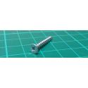 Screw, Self Tapping, 2.5mm X 25mm