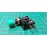 Microswitch with Pushbutton, 250V, 10A, Green