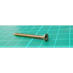 Universal screw 3,0x40 recessed head, ZnŽl, package 100pcs