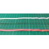 Zener Diode, 33V, 0.5W, DO35