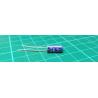 Capacitor, 2.2uF, 100V, Radial, Electrolitic